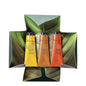 PACK 3 CREMAS DE MANOS EKOS 40 GR C/U